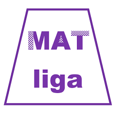 Mat liga-ekipno matematičko natjecanje